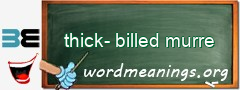 WordMeaning blackboard for thick-billed murre